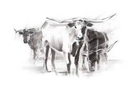 Picture of CONTEMPORARY CATTLE II