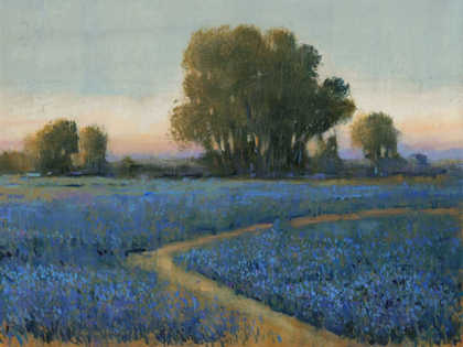 Picture of BLUE BONNET FIELD I