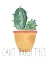 Picture of PUNNY PLANT I