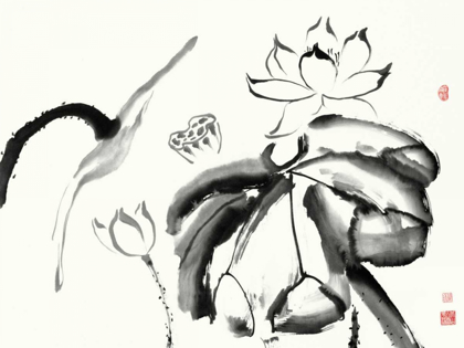 Picture of LOTUS STUDY III