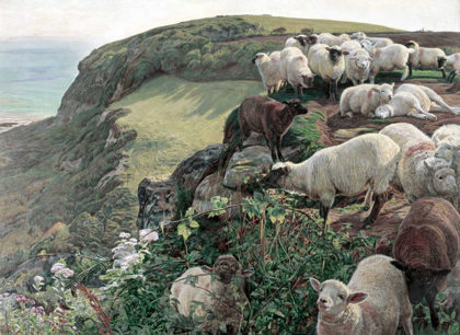 Picture of OUR ENGLISH COASTS - STRAYED SHEEP