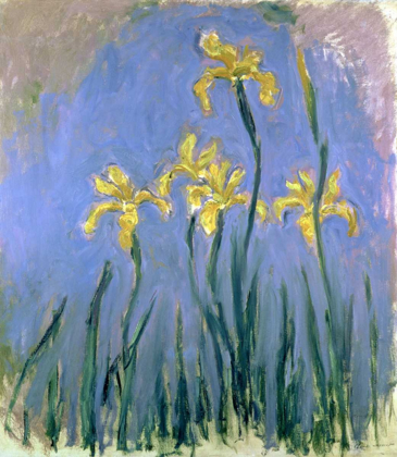 Picture of YELLOW IRISES