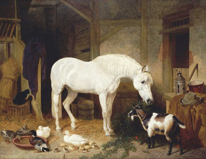 Picture of STABLE COMPANIONS