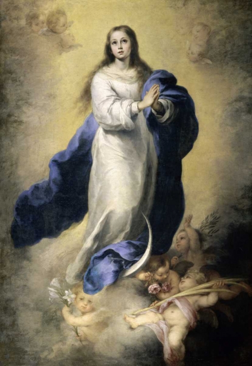 Picture of THE IMMACULATE CONCEPTION