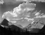 Picture of TREES IN GLACIER NATIONAL PARK, MONTANA - NATIONAL PARKS AND MONUMENTS, 1941