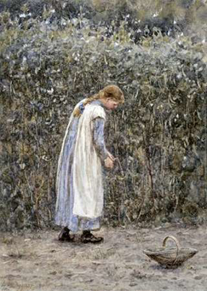 Picture of THE YOUNG GARDENER