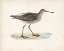 Picture of MORRIS SANDPIPER V