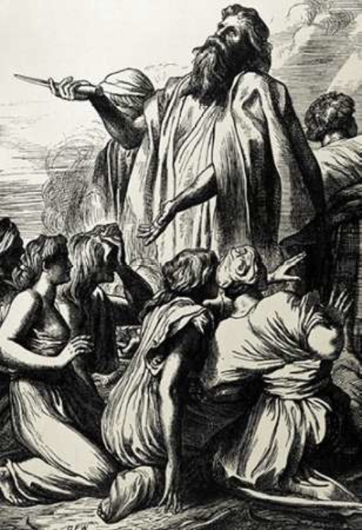 Picture of SAMUEL RESCUES ISRAEL