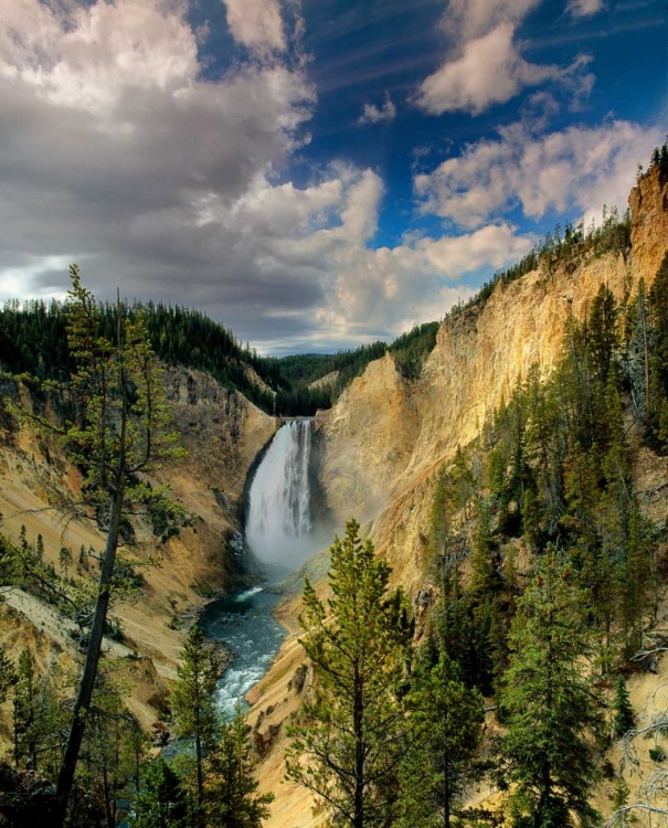 Picture of YELLOWSTONE FALLS