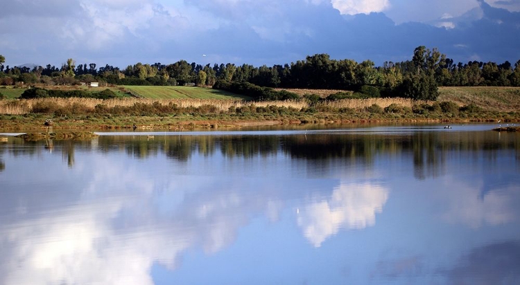 Picture of RELAX-VIEW-POND-ITALIAN-LANDSCAPE