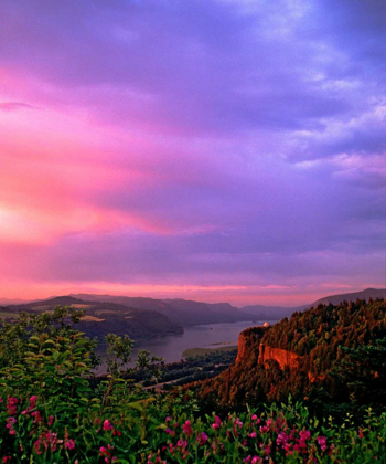 Picture of COLUMBIA RIVER GORGE IX