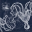 Picture of OCTOPI ON INDIGO II