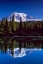 Picture of MT. RAINIER III