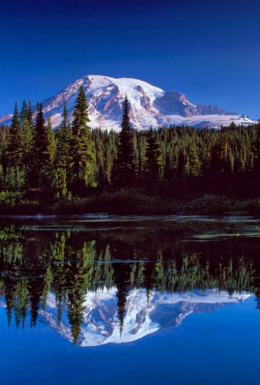 Picture of MT. RAINIER III