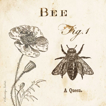 Picture of BEE FIG 1