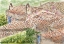 Picture of ROOFS-SHINGLES-OLD-TOWN-WATERCOLOR