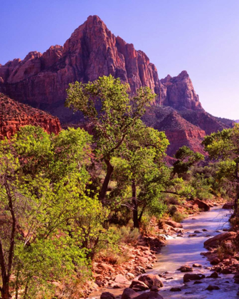 Picture of ZION NATIONAL PARK I