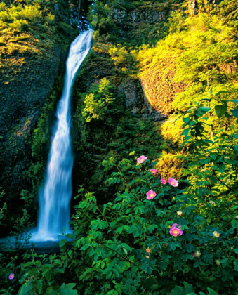 Picture of HORSE TAIL FALLS