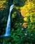 Picture of HORSE TAIL FALLS