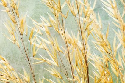 Picture of GOLDEN GRASSES