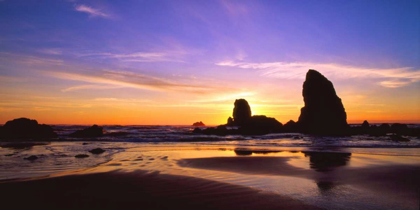 Picture of CANNON BEACH IV