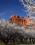 Picture of CAPITOL REEF