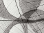 Picture of LEAF DESIGNS I BW