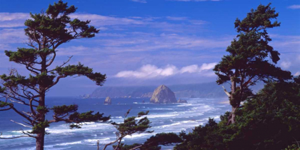 Picture of CANNON BEACH XI