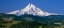 Picture of MT. HOOD XI