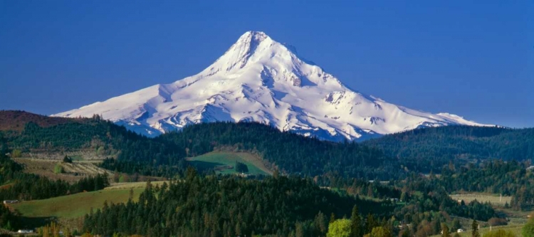Picture of MT. HOOD XI