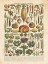 Picture of FRENCH VEGETABLE CHART