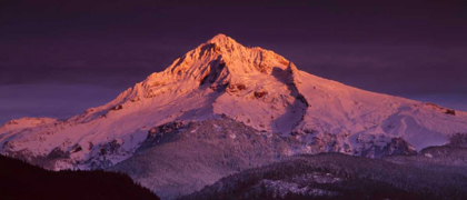 Picture of MT. HOOD XV