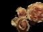 Picture of LESSENCE DE LA ROSE I