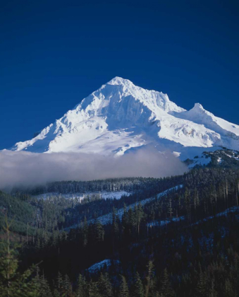 Picture of MT. HOOD XIII