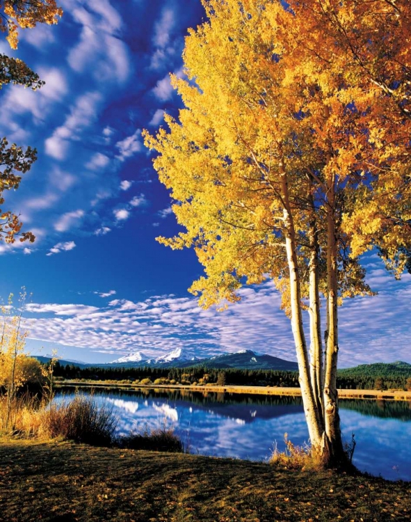 Picture of SISTERS IN AUTUMN II