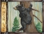 Picture of LODGE BEAR