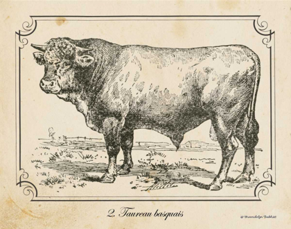 Picture of FARM BULL II