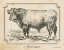 Picture of FARM BULL II