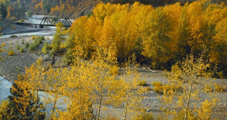 Picture of HOOD RIVER RR BRIDGE