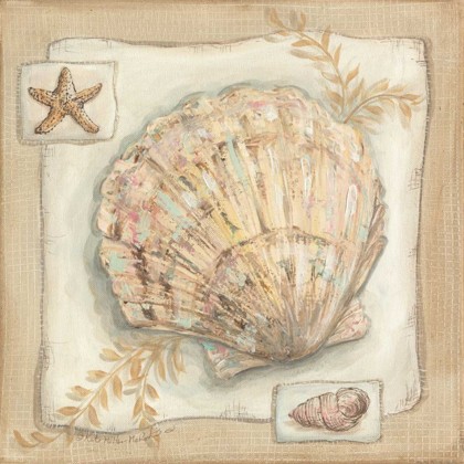 Picture of SANDY SCALLOP