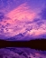 Picture of MT. HOOD XXI