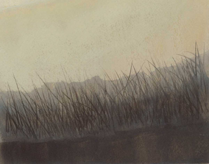 Picture of MARSHLAND GRASSES