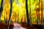 Picture of AUTUMN IMPRESSIONS III