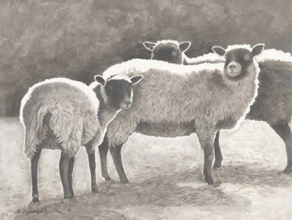 Picture of THREE HEIRLOOM SHEEP