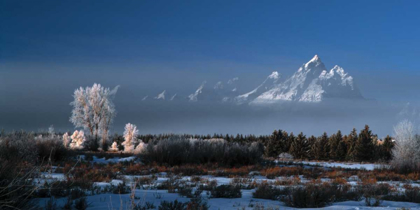 Picture of GRAND TETON NATIONAL PARK XVII