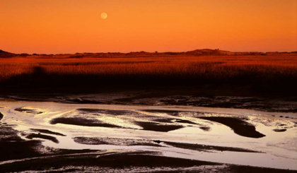 Picture of MOONRISE ESTUARY