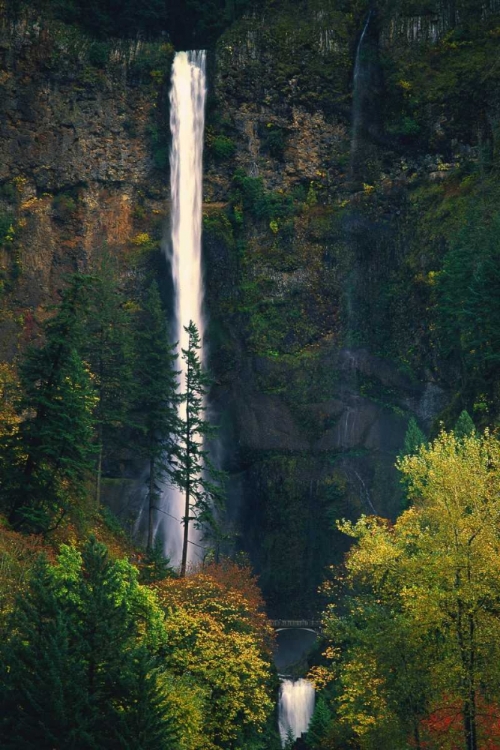 Picture of MULTNOMAH FALLS AUTUMN