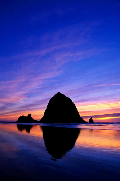 Picture of CANNON BEACH VII