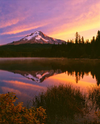 Picture of MT. HOOD XVI