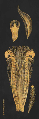 Picture of GOLD FEATHERS I